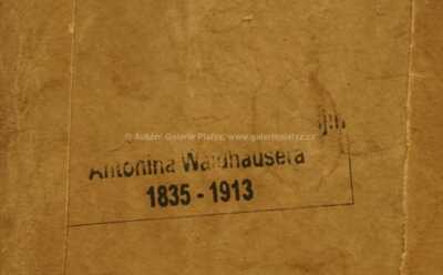  / Staré vrby / Antonín Waldhauser 