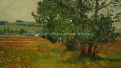  / Stromořadí v krajině / František Kaván