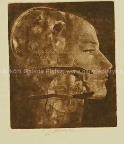  / Hlava / Jiří Anderle