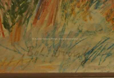  / Pohled na městečko / Bohumír Dvorský