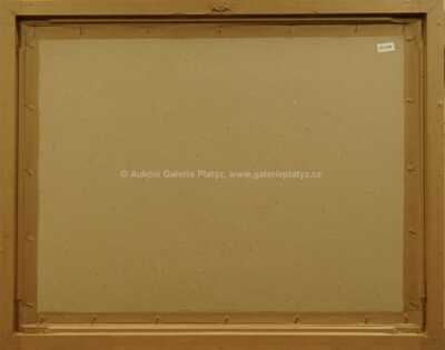  / Pohled na městečko / Bohumír Dvorský