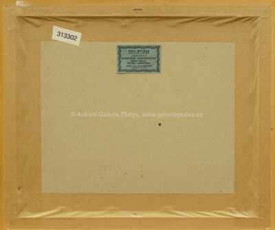  / Z motolského okruhu / Theodor Pištěk