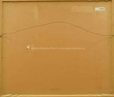  / Zimní radovánky / Adolf Born