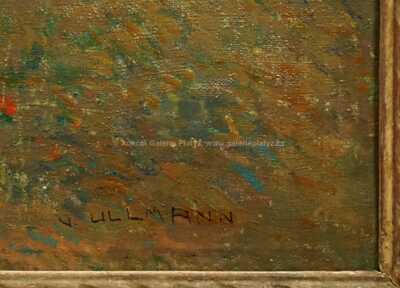  / Žlutý lán / Josef Ullmann