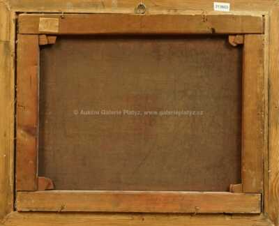  / Zima / Antonín Waldhauser 