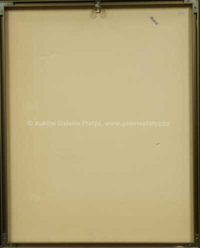  / Position 50 n° 34 / Tomáš Rajlich