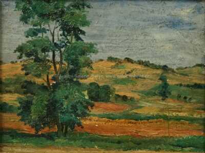  / Z jižní Francie / Josef Hubáček