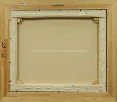  / Praha / František Ringo Čech