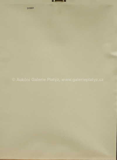  / Etude d´homme en pied / František Kupka