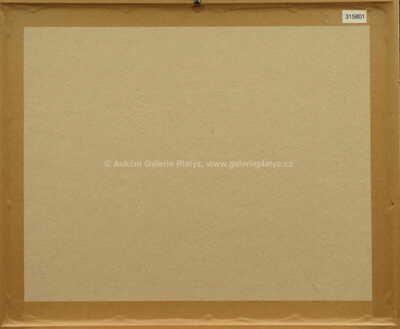  / Z cyklu Střelnice / Marie Čermínová - Toyen