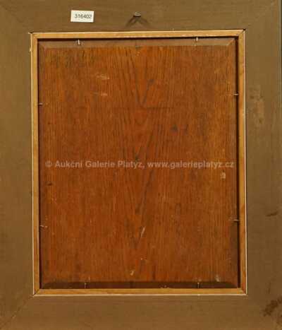  / Průhled nad potokem / Vojtěch Martinka