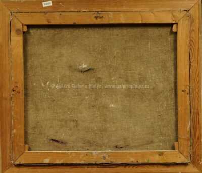  / Praha / Václav  Kozák