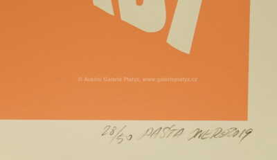  / Dear future I´m ready now / Pasta  Oner