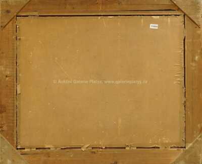  / Z Rybné / Jan Slavíček