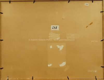  / Genesis / Albín Brunovský