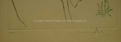  / Hledání grálu II. / Salvador Dalí