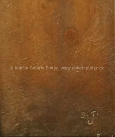  / Ptáček velký / Ota Janeček