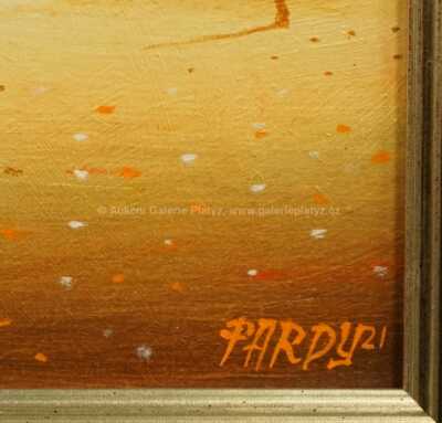  / Tíha marnosti / Pavel Pardy