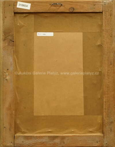  / Lesní interiér / Julius Mařák