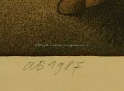  / Pohlednice od dědečka / Adolf Born