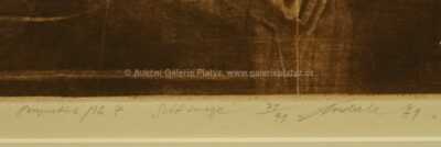  / Z cyklu Perspektivy / Jiří Anderle