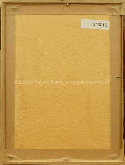  / Kartářka / Alois Kučera