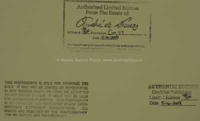  / Marilyn Monroe 1946 / Andre de Dienes