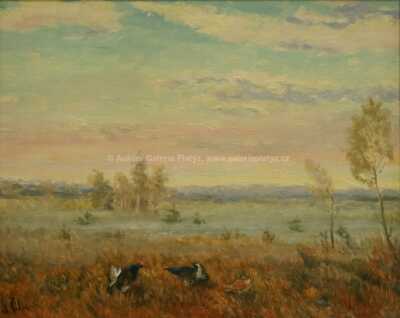  / Souboj tetřevů / Otakar Číla