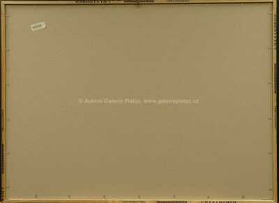  / Muzeum historie amerických financí / Kamil Kubík