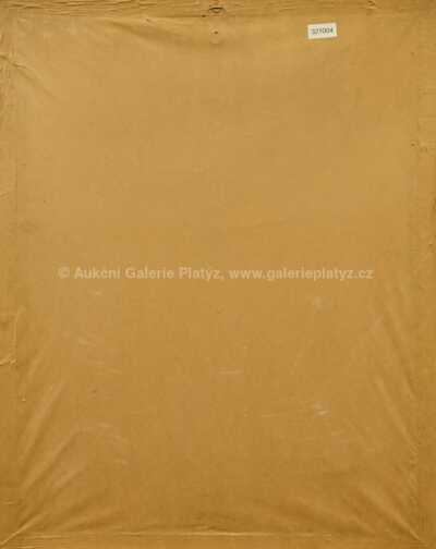  / Vysoká škola / František  Tichý