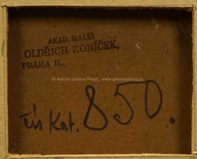  / Tajemná tůň / Oldřich Koníček