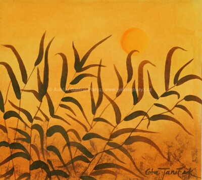  / Z cyklu V travách / Ota Janeček