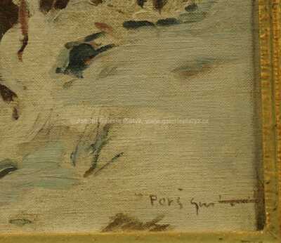  / Zimní řeka / Gustav  Porš