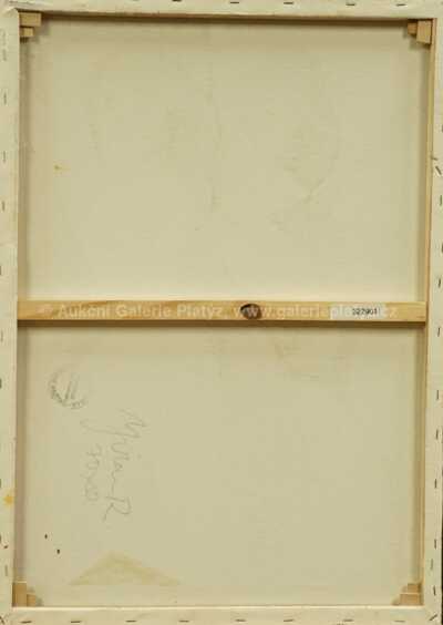  / Kontrasty / Robert Jiran