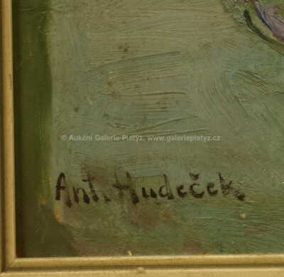  / Květinové zátiší / Antonín Hudeček