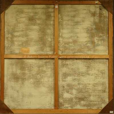  / Tajemství třinácté komnaty II / Petra Oriešková