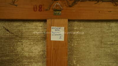  / Tajemství třinácté komnaty II / Petra Oriešková