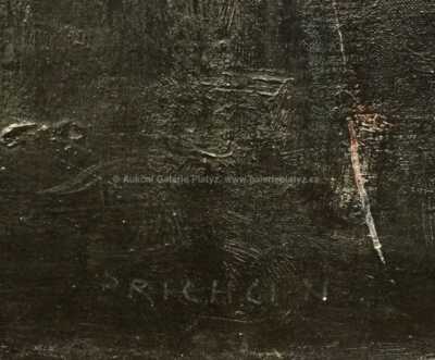  / Hvězdné nebe / Roman Brichcín