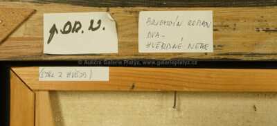  / Hvězdné nebe / Roman Brichcín