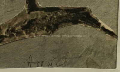  / Ptáci / Miroslav Horníček