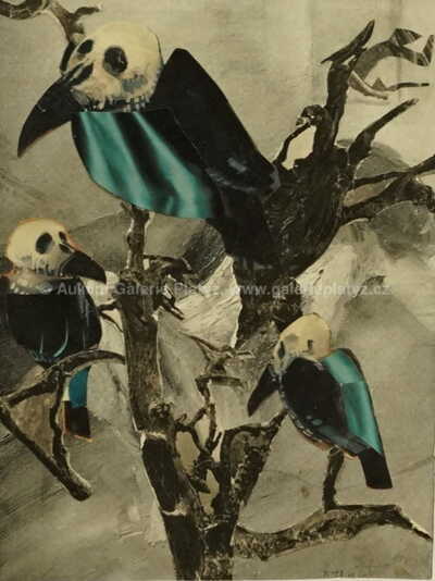  / Ptáci / Miroslav Horníček