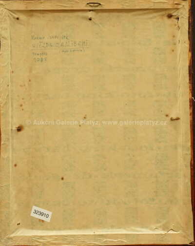  / Hvězda zaslíbení / Vladimír  Jandejsek