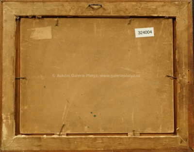  / Zimní potok / Josef Ullmann