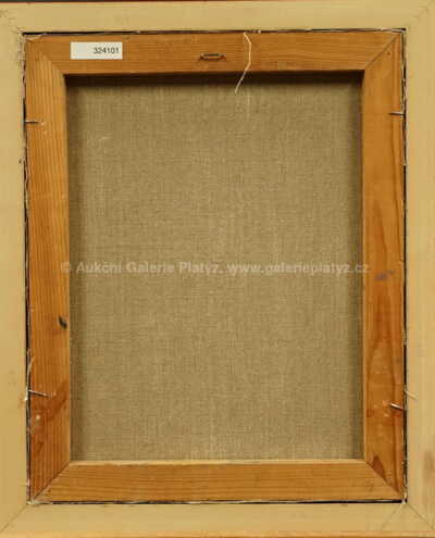  / Květiny ve váze / Vladimír Komárek