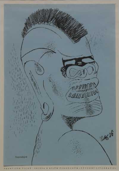  / Hlava černocha / František  Tichý