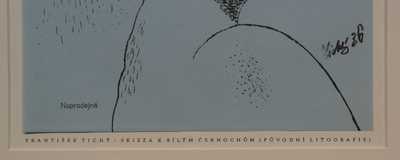  / Hlava černocha / František  Tichý