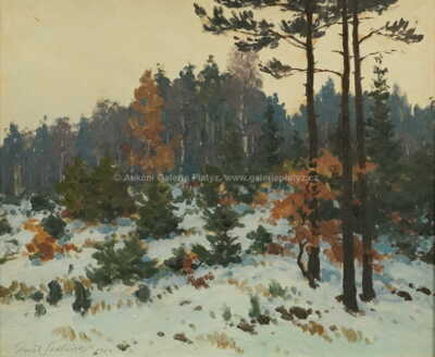  / Zima v lese / František Daněk - Sedláček