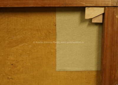  / Bílé stavení / Josef Dobrowsky