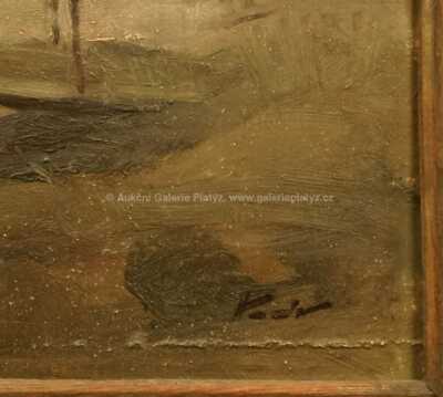  / Lávka nad řekou / Karel Hodr