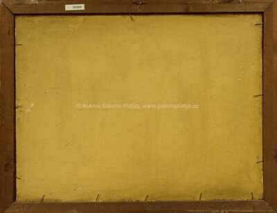  / Lávka nad řekou / Karel Hodr